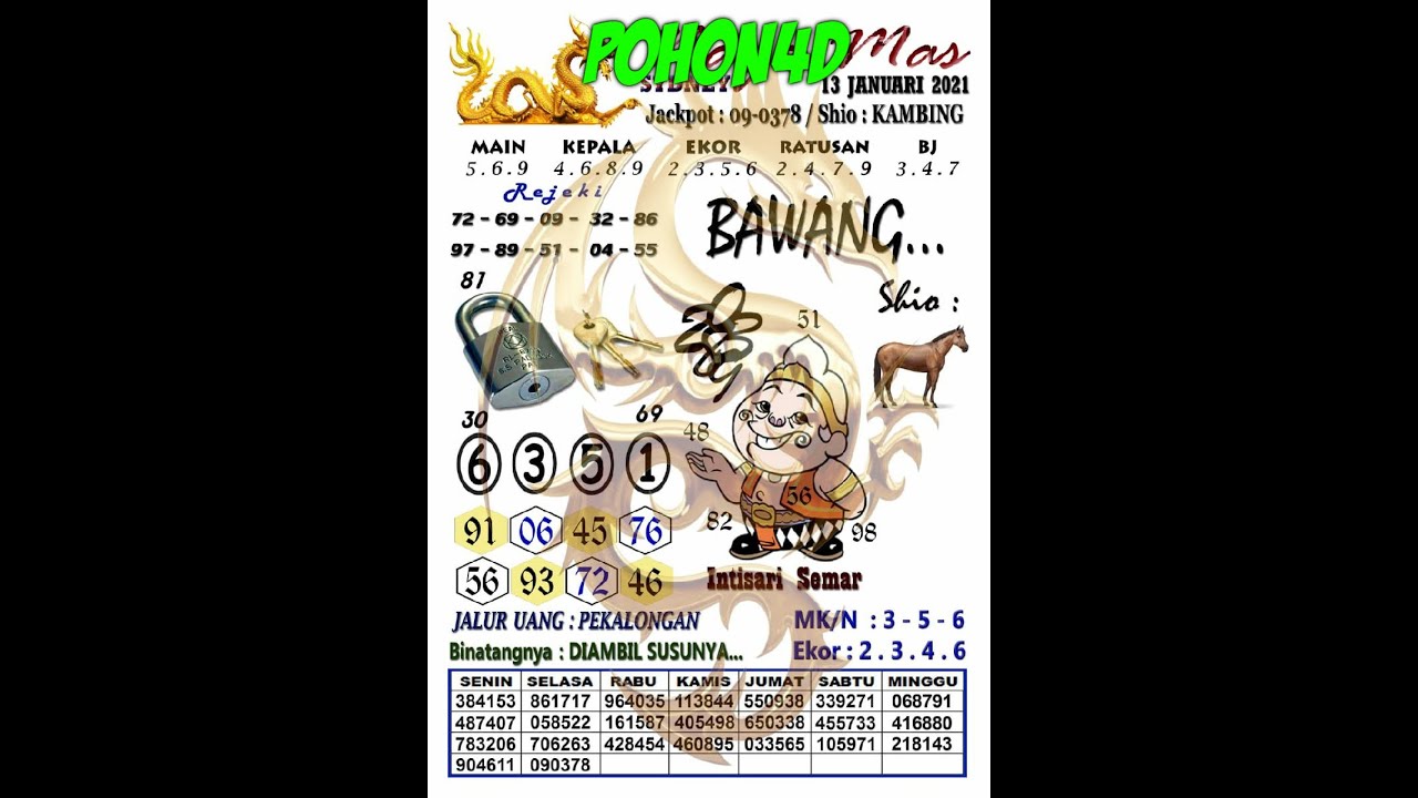 Syair Sydney Hari Ini 13. Jaanuari 2021 | Kode Syair Naga Mas Sydney  Basseinid