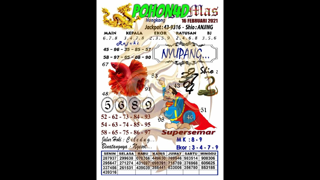 Syair Hk Malam Ini 16 Februari 2021 | Kode Syair Putra Bali Hong Kong  Piscinas Hari Ini