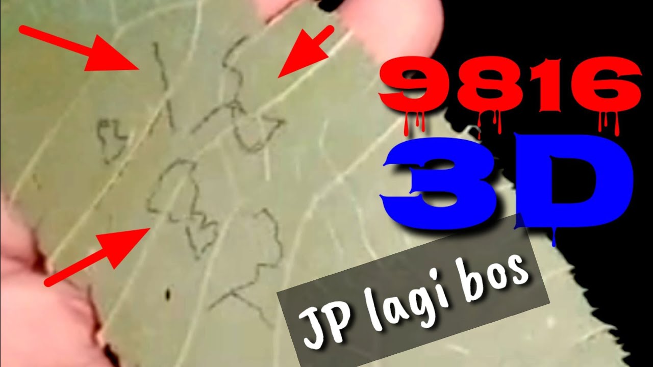 Penarikan Angka Gaib Hk Malam Ini