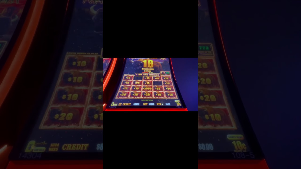 MASSIVE WIN BUFFALO LINK #download #win #Online Casino Hong Kong #tiktok #slot #wow #slotman #buffalolink #buffalo
