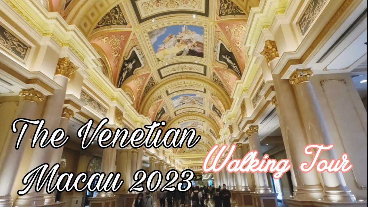 LIVE GAMBLING ON WILDCASINO! - Hong Kong Casino Bonuses